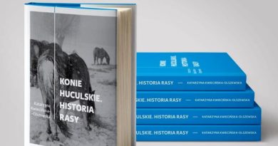 Konie_huculskie_1