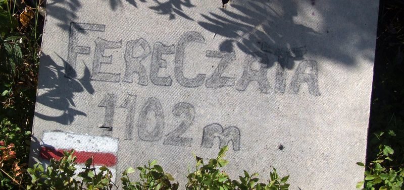 Fereczata_2015
