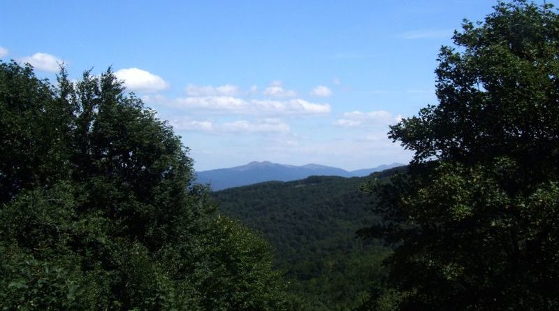 Fereczata_2015_17