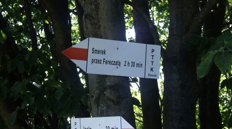 Fereczata_2015_47