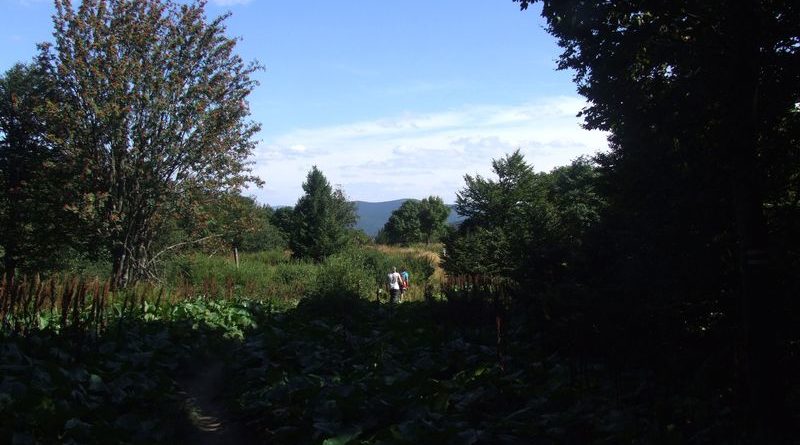 Fereczata_2015_50