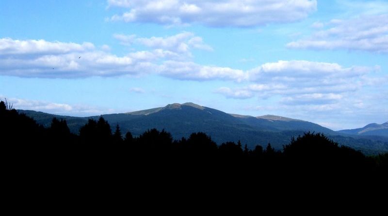 Fereczata_2015_73