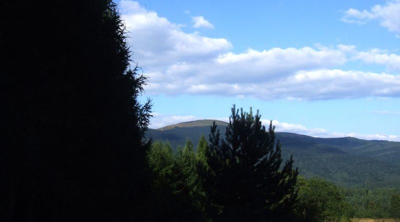Fereczata_2015_79