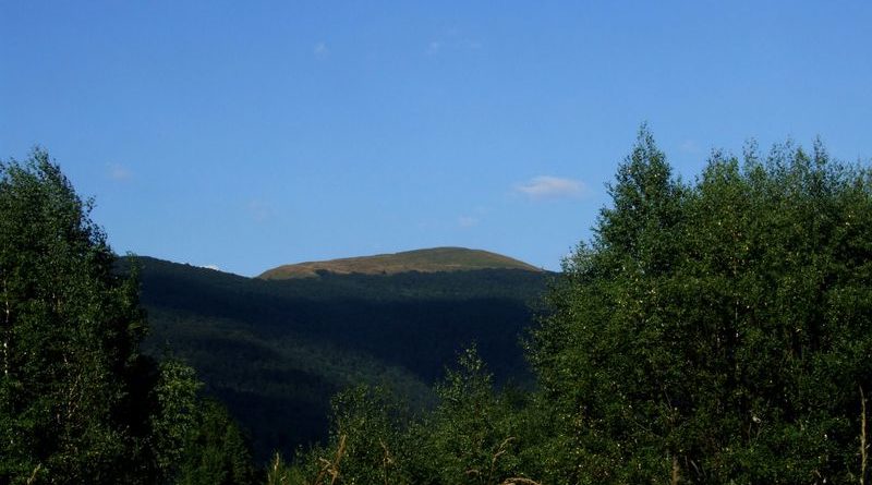 Fereczata_2015_86