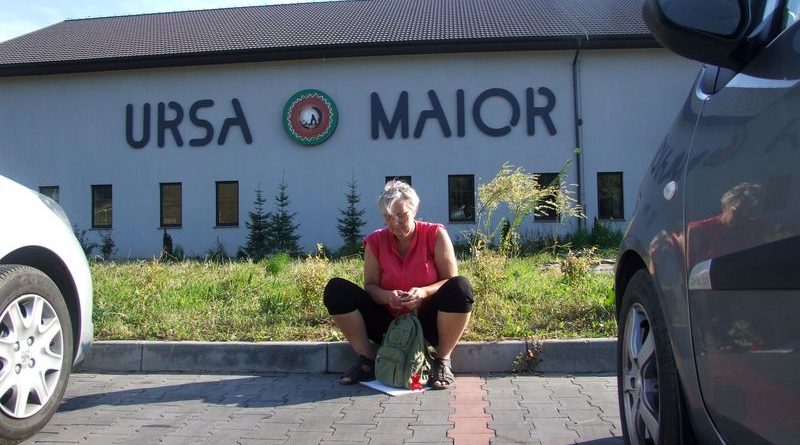 Ursa_Maior_2015_02