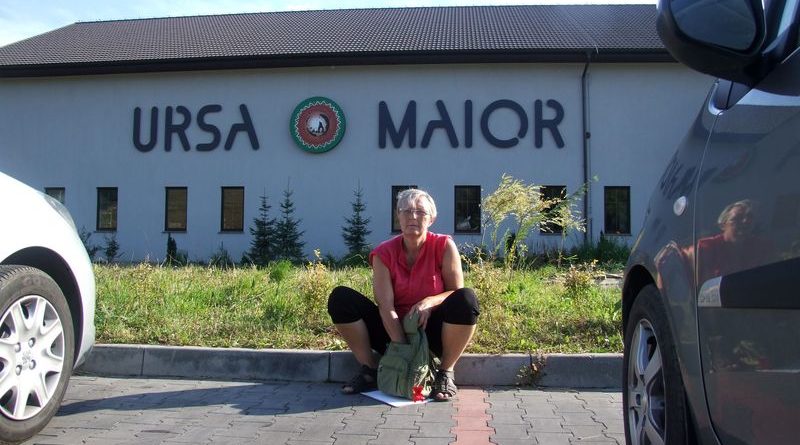 Ursa_Maior_2015_30